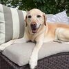 mary_renaud